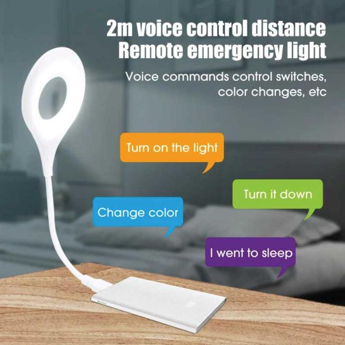 Smart voice control light